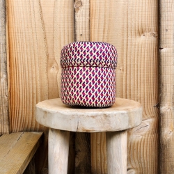 Tenate XS Multicolore Violet