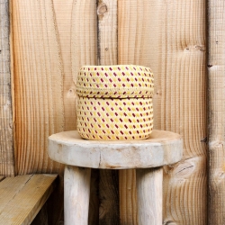 Tenate XS Multicolore Jaune